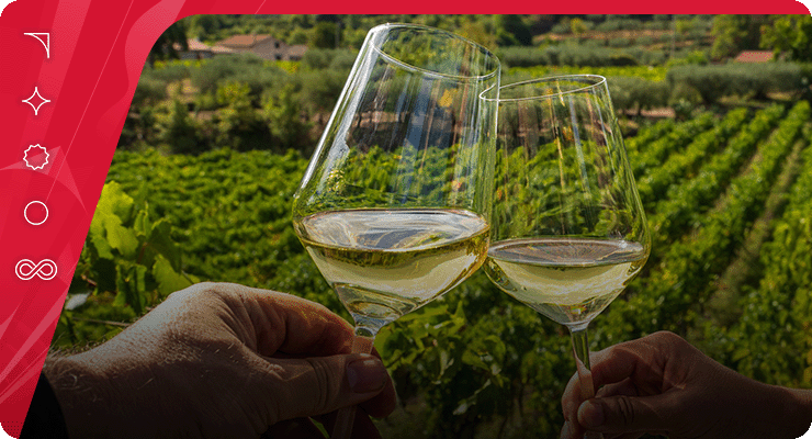 Food & Wine Experience